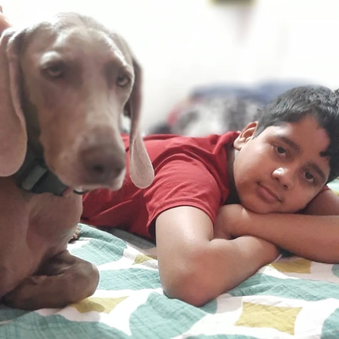 Happy Pets